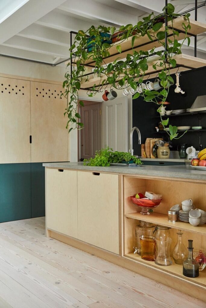 An open kitchen pantry with Plywood shelving