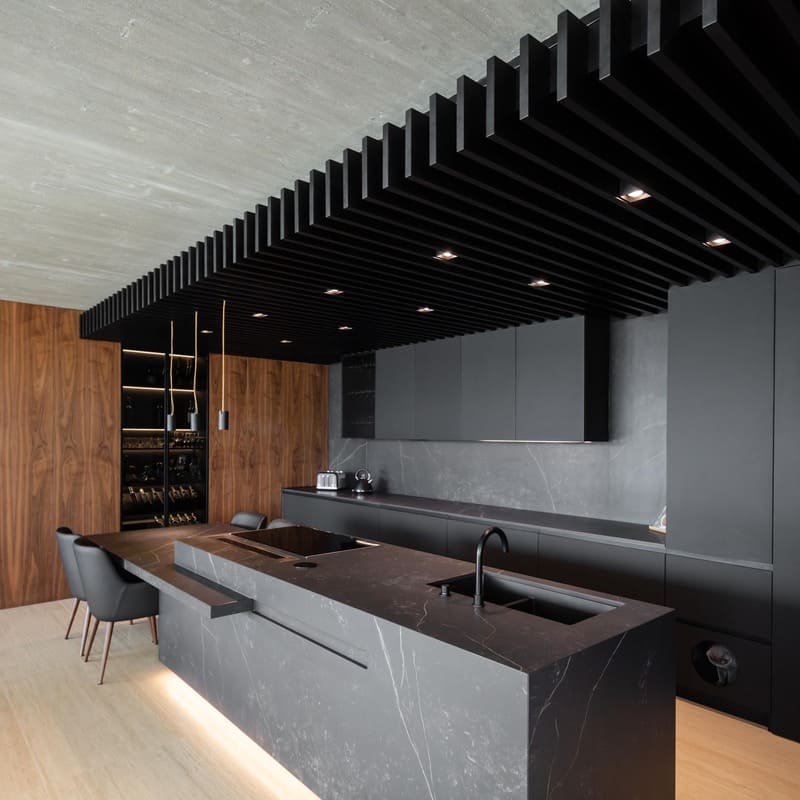 Minimalist kitchen with matte black painted cabinets