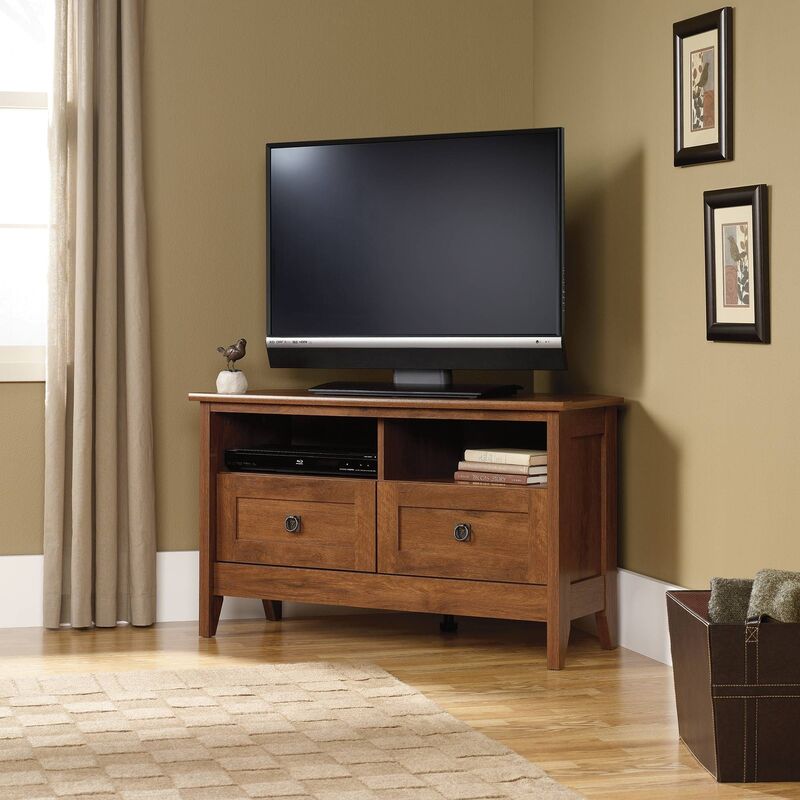 A 40-inch wide media cabinet in a cozy apartment living room, blending storage and style seamlessly