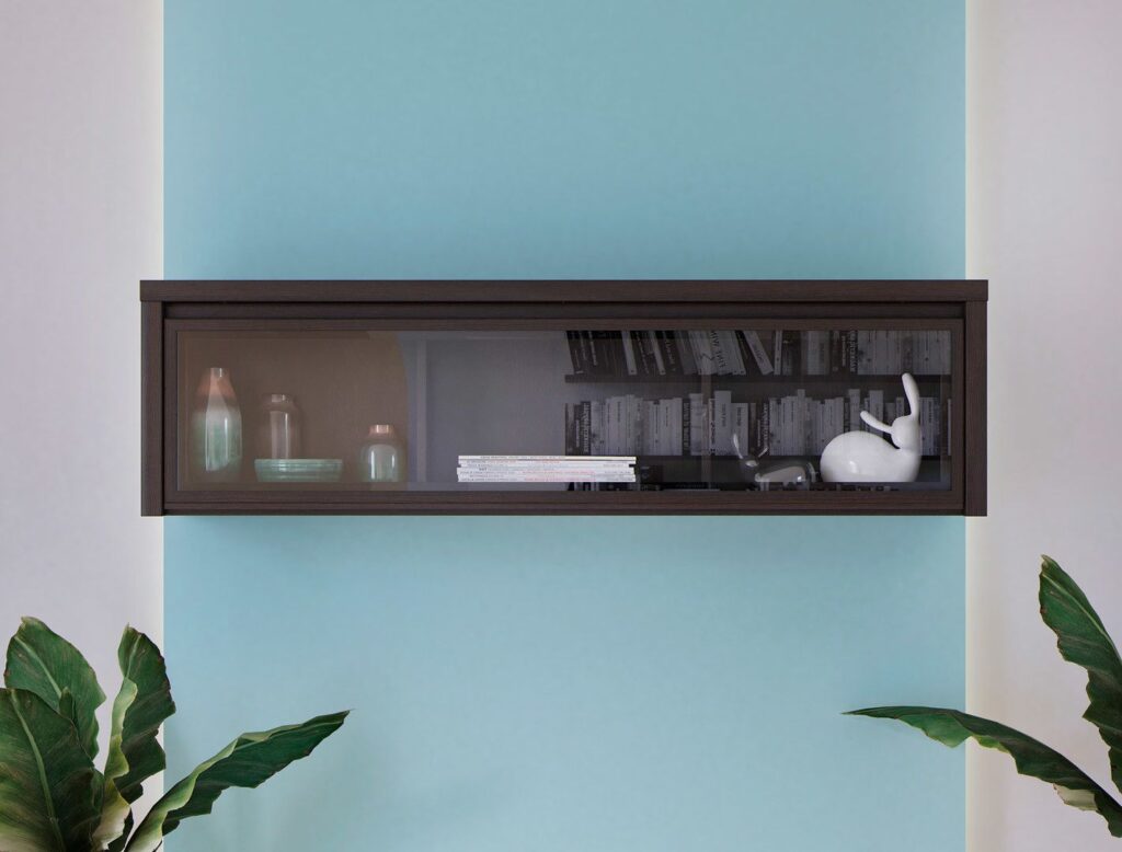 Floating glass front wall cabinet