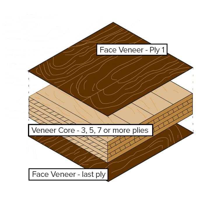 Cross-section of 5-ply plywood panel showing layered veneer structure
