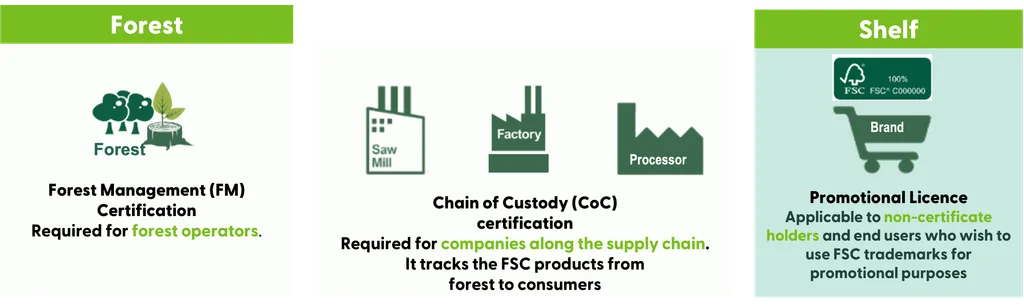 Reviewing an FSC Chain of Custody certificate to verify FSC certified cabinets claims